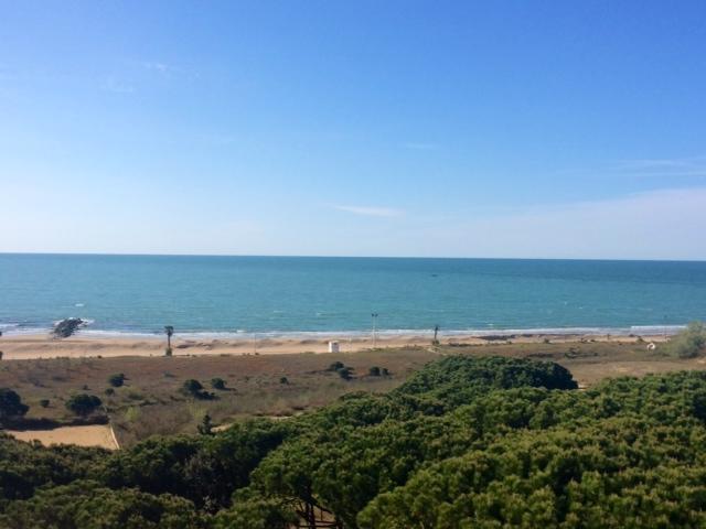 Ariston - Walterigato Apartments Solo Per Famiglie Lido di Jesolo Esterno foto